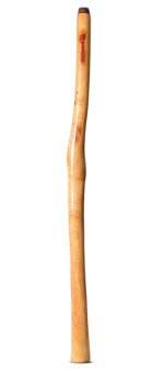 Epoxy Resin Finish Didgeridoo (TM429)